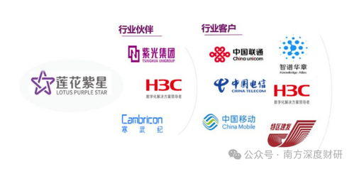 從調(diào)味品到AI新勢(shì)力 蓮花控股業(yè)績(jī)領(lǐng)跑同行，科技版圖再落信息技術(shù)咨詢服務(wù)關(guān)鍵一子